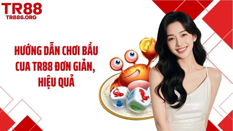 Hướng dẫn chơi bầu cua TR88 đơn giản, hiệu quả